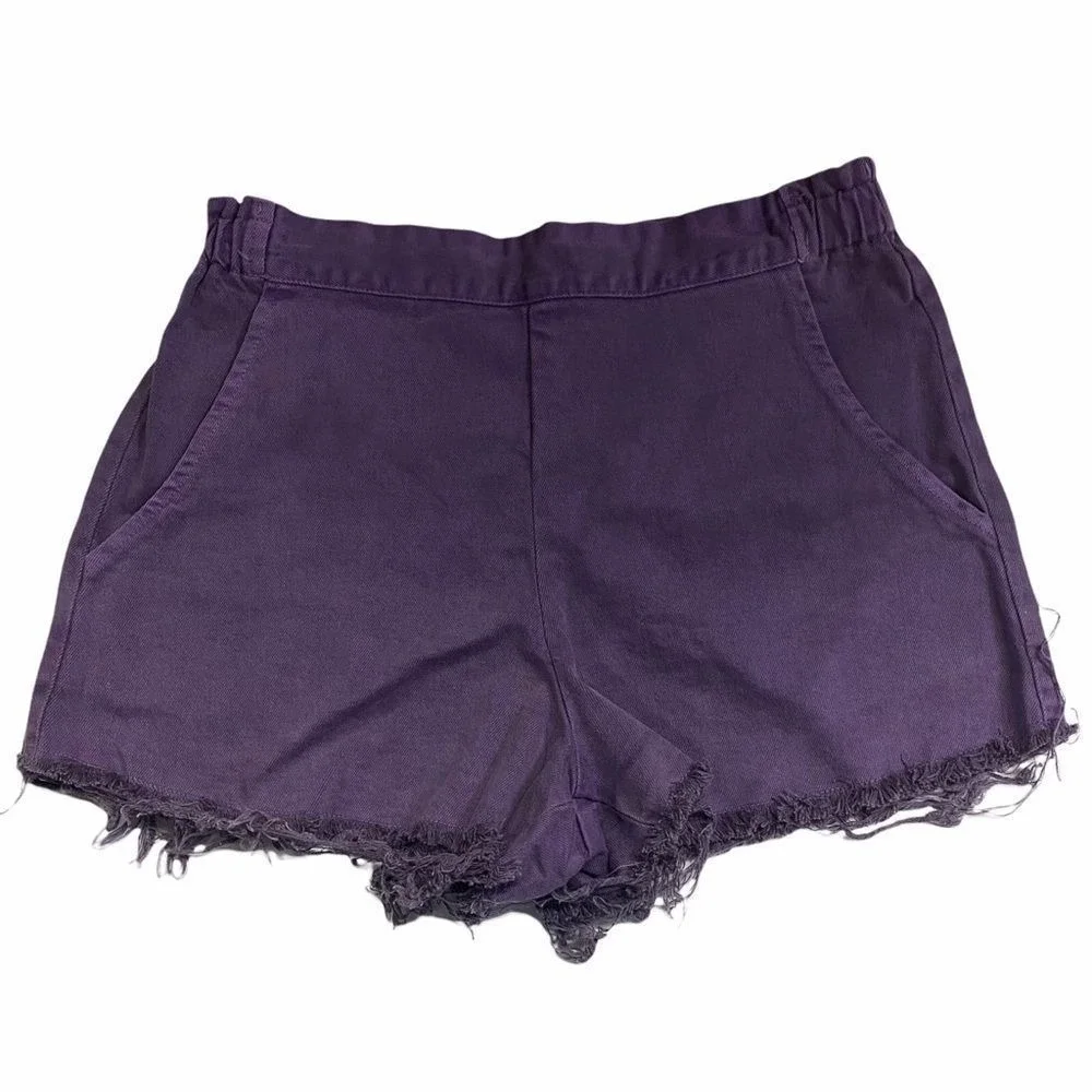 Urban Renewal Plum‎ High Waisted Purple Shorts Summer Medium Pocket